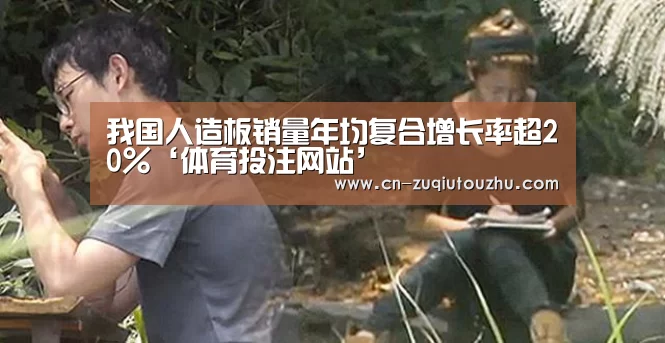 体育投注